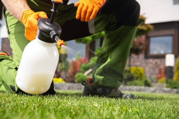 Best Pest Control Near Me  in Marissa, IL