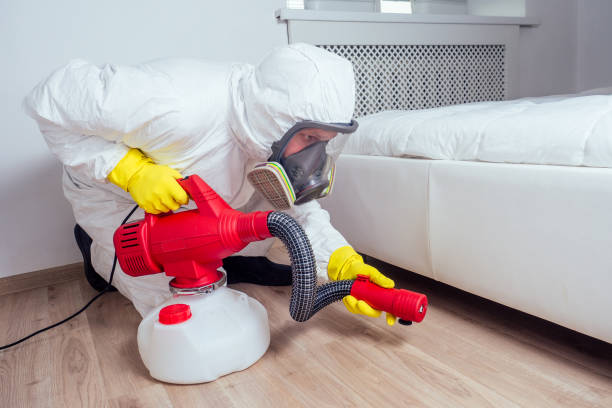 Best Termite Control Services  in Marissa, IL