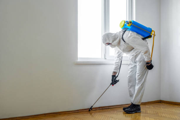 Best Emergency Pest Control  in Marissa, IL