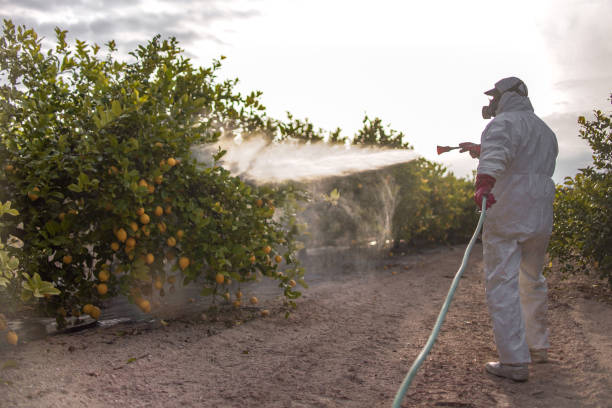Pest Control for Restaurants in Marissa, IL