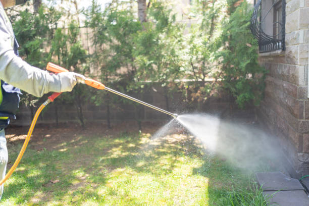 Best Spider Control Near Me  in Marissa, IL